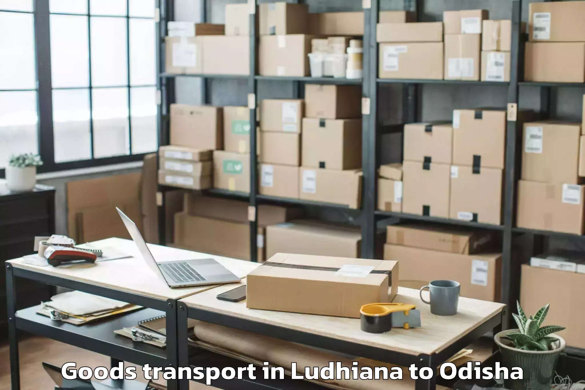 Professional Ludhiana to Baudh Goods Transport